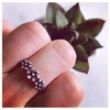 Anillo Hawaii