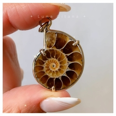Imagen de Dije Ammonite