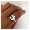 Anillo Astros