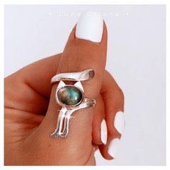Anillo Gato Protector en internet