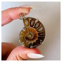 Dije Ammonite