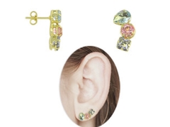 Ear cuff com pedrarias - comprar online