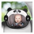 Espelho para Banco Traseiro Pandinha Buba - comprar online