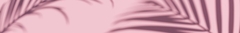Banner da categoria Ver Todos