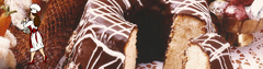 Banner da categoria Kibbles