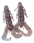 Señuelos Redfish Gomas Anti Enganche - On Fire Pesca shop