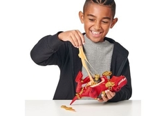 Imagen de Treasure X - Dino Gold Dissection