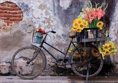 PUZZLE 500 piezas BICICLETA CON FLORES - educa - comprar online
