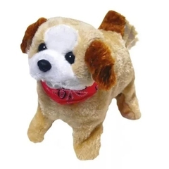 MI PERRITO SALTARIN A PILAS - el duende azul en internet