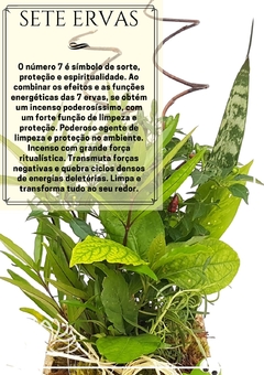 Incenso 7 ervas - comprar online