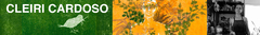 Banner da categoria Cleiri Cardoso