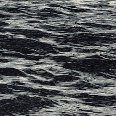 Sonar#8 (detalhe)