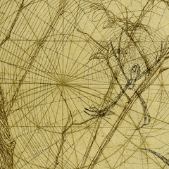 Detalhe 2
