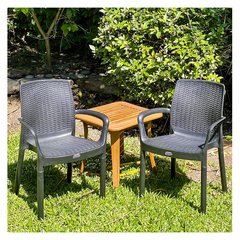 Sillón Ratán Alex Plástico Colombraro - tienda online