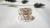 Anillo AGNES