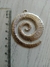 Dije Espiral Grande x5 en internet