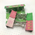 Binder Clips Tropical - comprar online