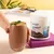 OnActive Drink - Herbalife na internet