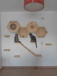 PUENTE semi-rígido MONTESSORI - tienda online