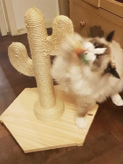 Rascador CÁCTUS! Una OBRA DE ARTE! en internet