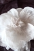 Flores de Papel