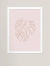 Quadro decorativo - monstera costela de adão