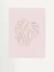 Quadro decorativo - monstera costela de adão