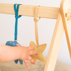Baby Gym - Mar - Chauchitas