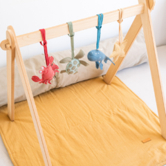 Baby Gym - Mar en internet