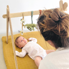 Accesorios para Baby Gym - Jardín - tienda online