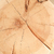 Banner de Pisteh