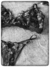 Art 91F - comprar online