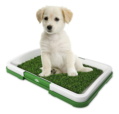 Baño Ecológico Para Perros Y Gatos Puppy Potty Pad - tienda online