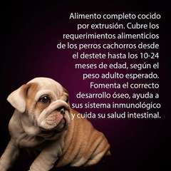 Alimento Premium Perro Dogpro Cachorro X 1,5kg en internet