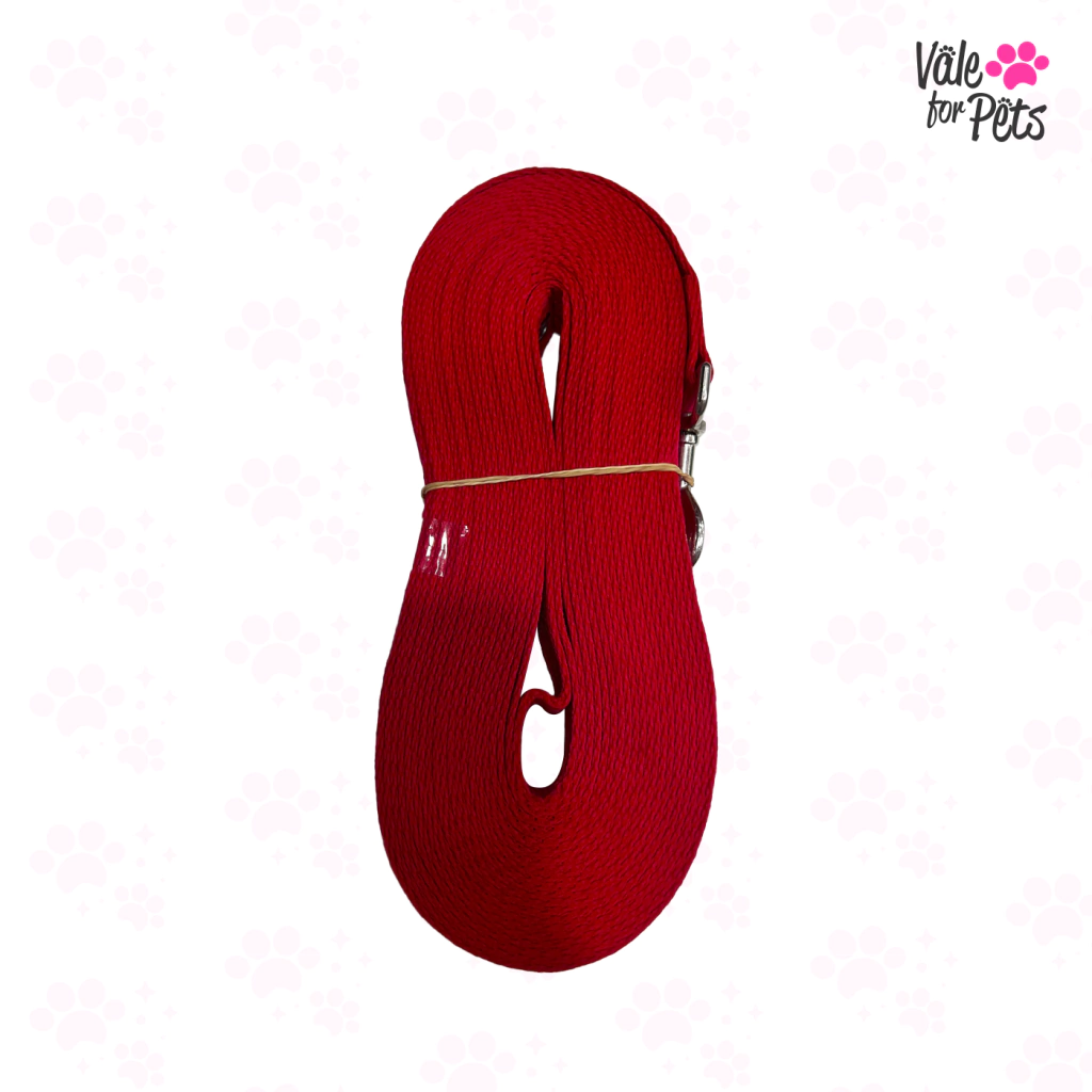 CORREA DE PASEO NYLON 10M