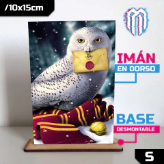 /CUADRO_Harry_Potter: Hedwig en internet