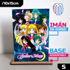 /CUADRO_Sailor Moon en internet