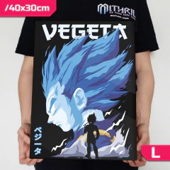 /CUADRO_Dragon_Ball_Vegeta - tienda online