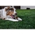 brinquedo-benebone-wishbone-frango-grande