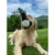Brinquedo Bola de borracha que ilumina para Cachorro-AFP na internet