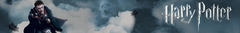 Banner da categoria Harry Potter