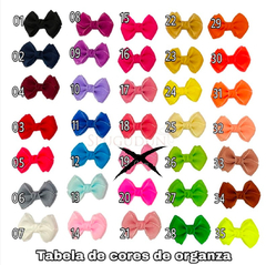 Laço Gabriela Organza (Parzinho) - loja online