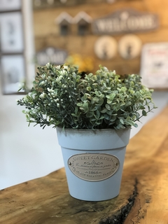 Vaso Sweet Garden