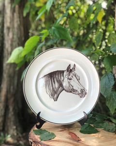 Prato Equus Caballus Marrom