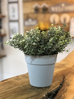 Vaso Sweet Garden - comprar online