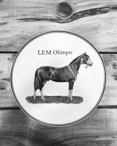 Personalizados - Clique na foto - comprar online