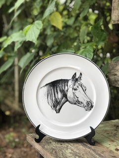 Prato Equus Caballus Preto