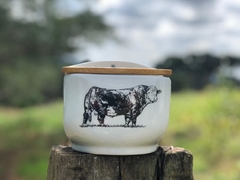 Saleiro Hereford