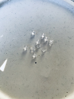 Tuerca de Silicona en internet
