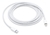 Cable USB C a Lightning Carga Rápida en internet